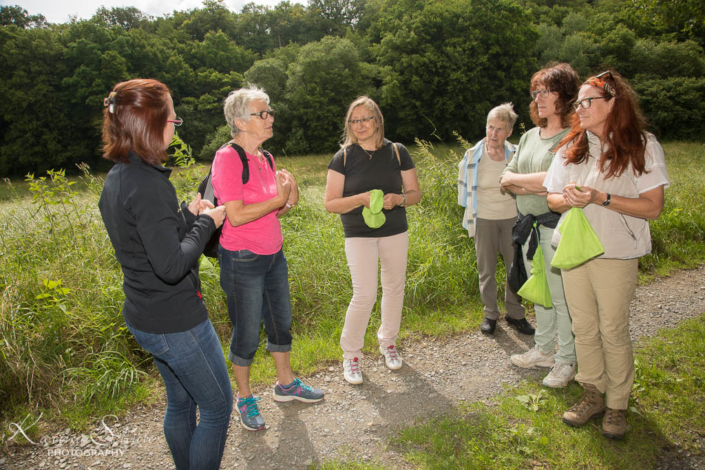 Fotodokumentation im Maifeld